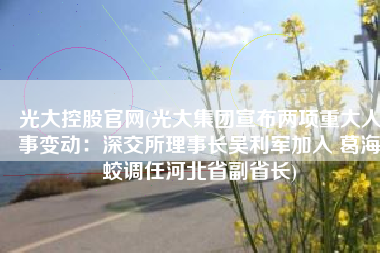 光大控股官网(光大集团宣布两项重大人事变动：深交所理事长吴利军加入 葛海蛟调任河北省副省长)
