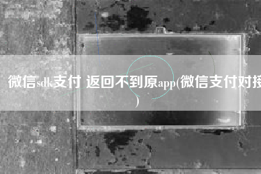 微信sdk支付 返回不到原app(微信支付对接)