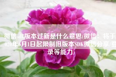 微信sdk版本过新是什么意思(微信：将于2020年6月1日起限制旧版本SDK微信分享/登录等能力)