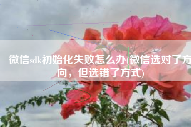 微信sdk初始化失败怎么办(微信选对了方向，但选错了方式)