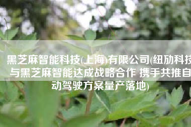 黑芝麻智能科技(上海)有限公司(纽劢科技与黑芝麻智能达成战略合作 携手共推自动驾驶方案量产落地)