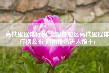 高铁里程排行榜(全国各地区高铁里程排行榜公布 河南排名进入前十)