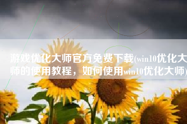 游戏优化大师官方免费下载(win10优化大师的使用教程，如何使用win10优化大师)
