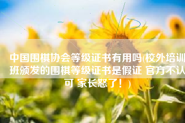 中国围棋协会等级证书有用吗(校外培训班颁发的围棋等级证书是假证 官方不认可 家长怒了！)