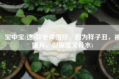 宝中宝(这4款老牌国货，因为样子丑，被嫌弃，但保湿又补水)