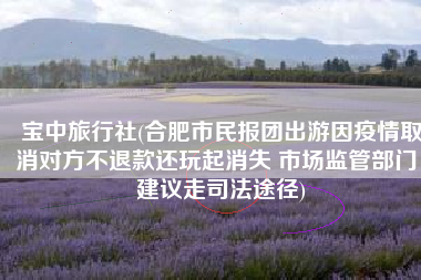 宝中旅行社(合肥市民报团出游因疫情取消对方不退款还玩起消失 市场监管部门：建议走司法途径)
