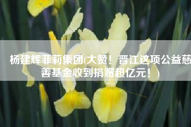 杨建辉菲莉集团(大赞！晋江这项公益慈善基金收到捐赠超亿元！)