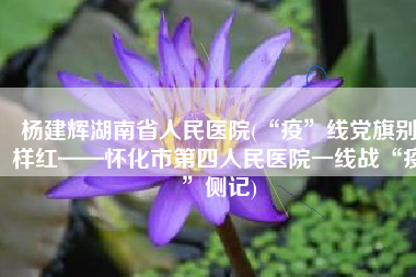 杨建辉湖南省人民医院(“疫”线党旗别样红——怀化市第四人民医院一线战“疫”侧记)