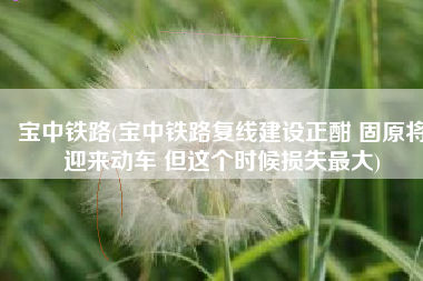 宝中铁路(宝中铁路复线建设正酣 固原将迎来动车 但这个时候损失最大)