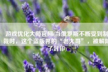 游戏优化大师官网(当俄罗斯不断受到制裁时，这个盗版界的“老大哥”，被解除了封印)