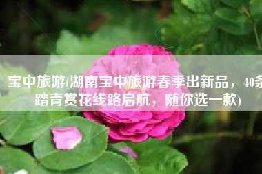 宝中旅游(湖南宝中旅游春季出新品，40条踏青赏花线路启航，随你选一款)