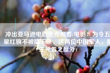 冲出亚马逊电影免费观看(电影：为令五星红旗不被降下来，这两位中国军人，把生死置之度外)