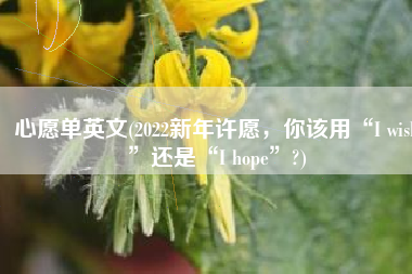 心愿单英文(2022新年许愿，你该用“I wish”还是“I hope”?)