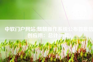 中软门户网站(麒麟操作系统公布首批信创应用：总计189款)