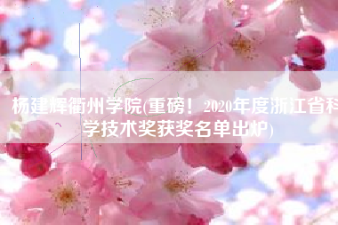 杨建辉衢州学院(重磅！2020年度浙江省科学技术奖获奖名单出炉)