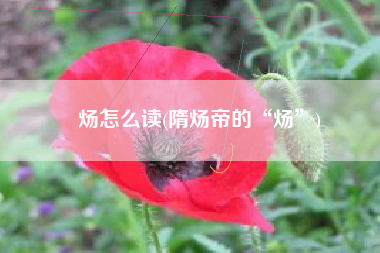 炀怎么读(隋炀帝的“炀”)