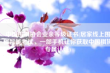 中国围棋协会业余等级证书(居家线上围棋智能考试，一部手机让你获取中国棋协专属认证)
