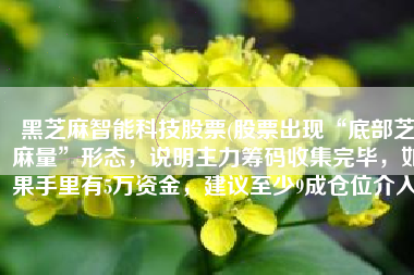 黑芝麻智能科技股票(股票出现“底部芝麻量”形态，说明主力筹码收集完毕，如果手里有5万资金，建议至少9成仓位介入)