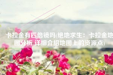 卡拉金有四倍镜吗(绝地求生：卡拉金地图分析 详细介绍地图上的资源点)