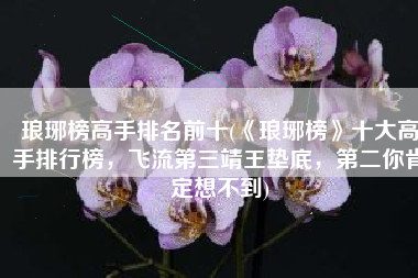 琅琊榜高手排名前十(《琅琊榜》十大高手排行榜，飞流第三靖王垫底，第二你肯定想不到)