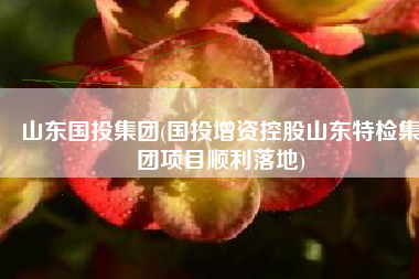 山东国投集团(国投增资控股山东特检集团项目顺利落地)