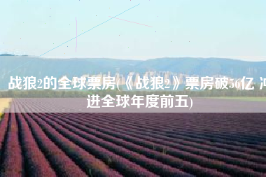 战狼2的全球票房(《战狼2》票房破56亿 冲进全球年度前五)