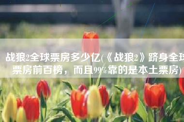 战狼2全球票房多少亿(《战狼2》跻身全球票房前百榜，而且99%靠的是本土票房)
