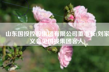 山东国投控股集团有限公司董事长(刘家义会见国投集团客人)