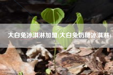 大白兔冰淇淋加盟(大白兔奶糖冰淇淋)