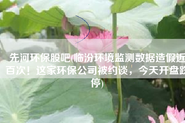 先河环保股吧(临汾环境监测数据造假近百次！这家环保公司被约谈，今天开盘跌停)