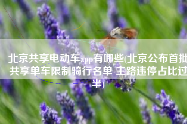 北京共享电动车app有哪些(北京公布首批共享单车限制骑行名单 主路违停占比过半)