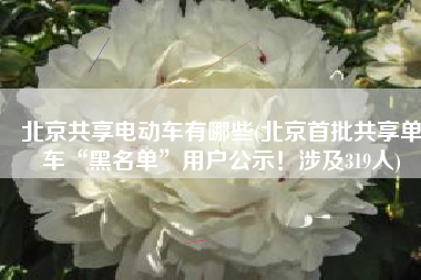 北京共享电动车有哪些(北京首批共享单车“黑名单”用户公示！涉及319人)