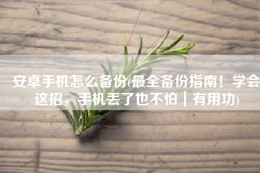 安卓手机怎么备份(最全备份指南！学会这招，手机丢了也不怕｜有用功)