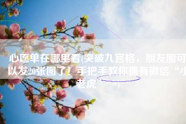 心愿单在哪里看(突破九宫格，朋友圈可以发20张图了！手把手教你拥有微信“小老虎”→)