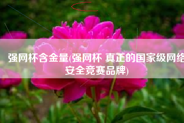 强网杯含金量(强网杯 真正的国家级网络安全竞赛品牌)