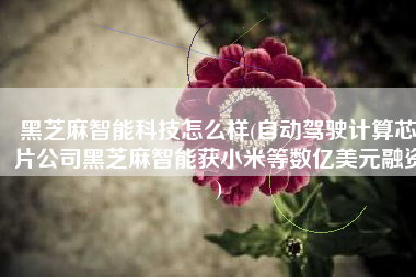黑芝麻智能科技怎么样(自动驾驶计算芯片公司黑芝麻智能获小米等数亿美元融资)