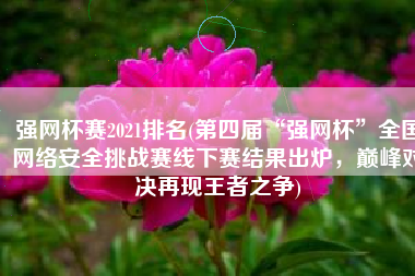 强网杯赛2021排名(第四届“强网杯”全国网络安全挑战赛线下赛结果出炉，巅峰对决再现王者之争)