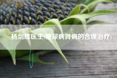 杨剑辉医生(糖尿病肾病的合理治疗)