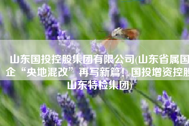 山东国投控股集团有限公司(山东省属国企“央地混改”再写新篇！国投增资控股山东特检集团)