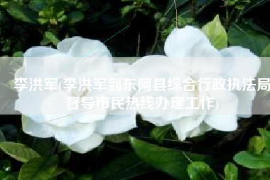 李洪军(李洪军到东阿县综合行政执法局督导市民热线办理工作)
