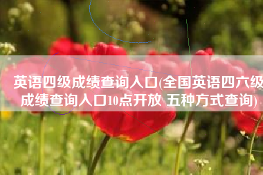 英语四级成绩查询入口(全国英语四六级成绩查询入口10点开放 五种方式查询)