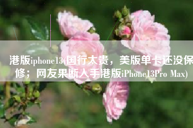 港版iphone13(国行太贵，美版单卡还没保修；网友果断入手港版iPhone13Pro Max)