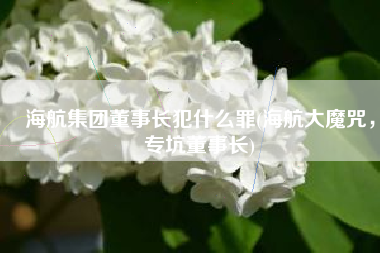 海航集团董事长犯什么罪(海航大魔咒，专坑董事长)