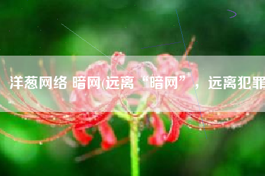 洋葱网络 暗网(远离“暗网”，远离犯罪)