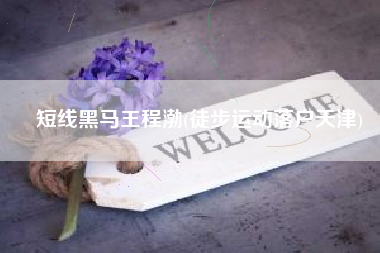 短线黑马王程渤(徒步运动落户天津)