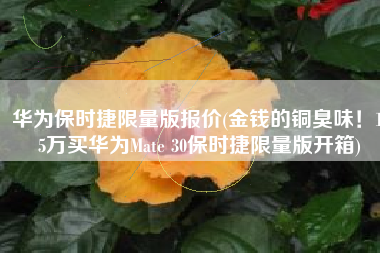 华为保时捷限量版报价(金钱的铜臭味！1.5万买华为Mate 30保时捷限量版开箱)