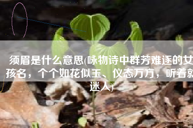 须眉是什么意思(咏物诗中群芳难逐的女孩名，个个如花似玉、仪态万方，听着就迷人)