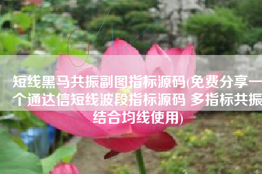 短线黑马共振副图指标源码(免费分享一个通达信短线波段指标源码 多指标共振结合均线使用)