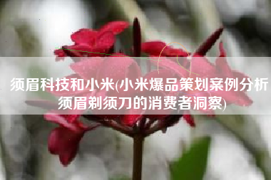 须眉科技和小米(小米爆品策划案例分析：须眉剃须刀的消费者洞察)