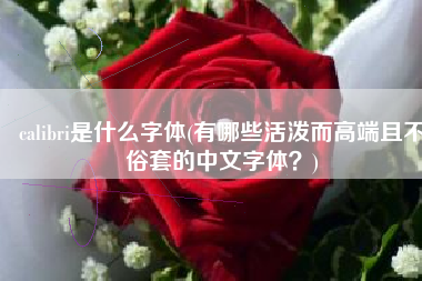 calibri是什么字体(有哪些活泼而高端且不俗套的中文字体？)
